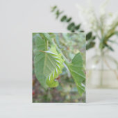 Horn Worm ~ briefkaart (Staand voorkant)