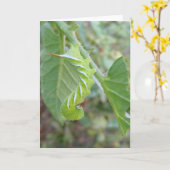 Horn Worm ~ kaart (Gele Bloem)