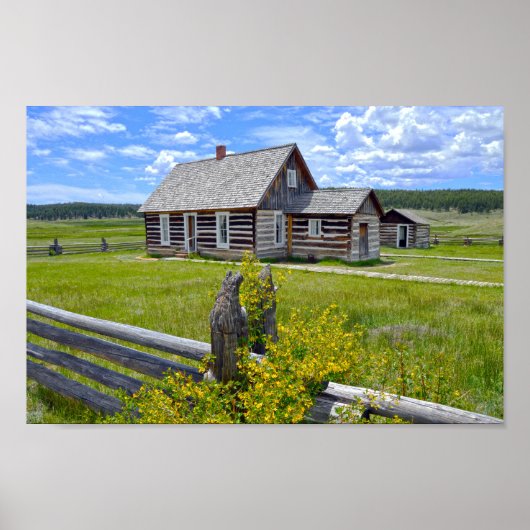 Hornbek Homestead, Florissant, Colorado Poster (Voorkant)