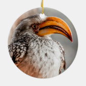 Hornbill met schouderlijk geel keramisch ornament (Achterkant)