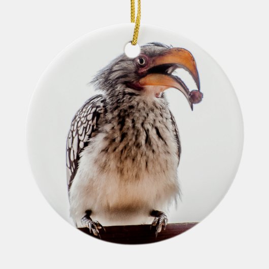 Hornbill met zaden in de mond keramisch ornament (Voorkant)