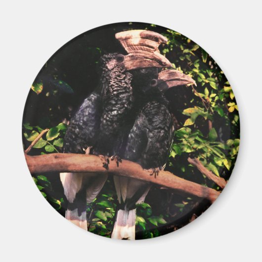 Hornbills in de liefde magneet (Voorkant)