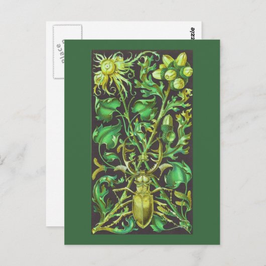 Horned Beetle in Gold en Green  Print Briefkaart (Voorkant / Achterkant)