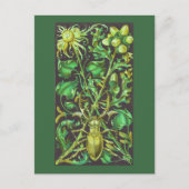 Horned Beetle in Gold en Green  Print Briefkaart (Voorkant)