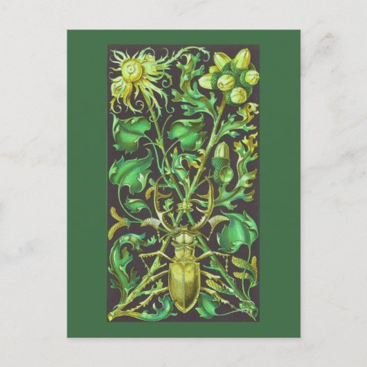 Horned Beetle in Gold en Green Print Briefkaart (Voorkant)