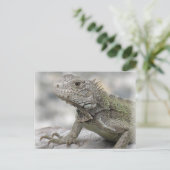 Horned Iguana Briefkaart (Staand voorkant)
