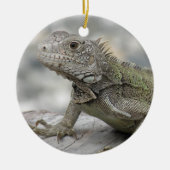 Horned Iguana Ornament (Voorkant)