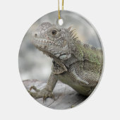 Horned Iguana Ornament (Links)