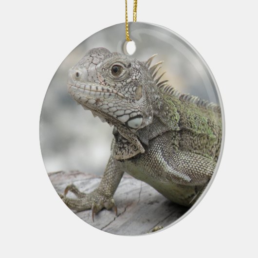 Horned Iguana Ornament (Links)