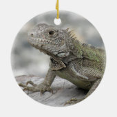 Horned Iguana Ornament (Achterkant)