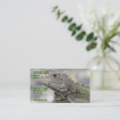 Horned Iguana Visitekaartje (Staand voorkant)