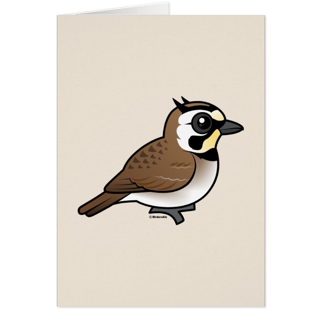 Horned Lark (Voorkant)