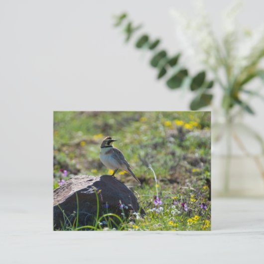 Horned Lark Briefkaart (Staand voorkant)