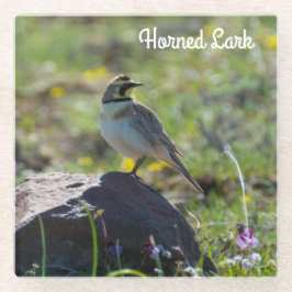 Horned Lark Glazen Onderzetter