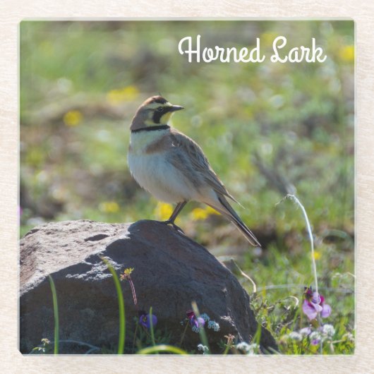 Horned Lark Glazen Onderzetter (Voorkant)
