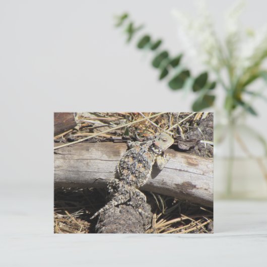 Horned Lizard Briefkaart (Staand voorkant)