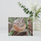 Horned Lizard Briefkaart (Staand voorkant)