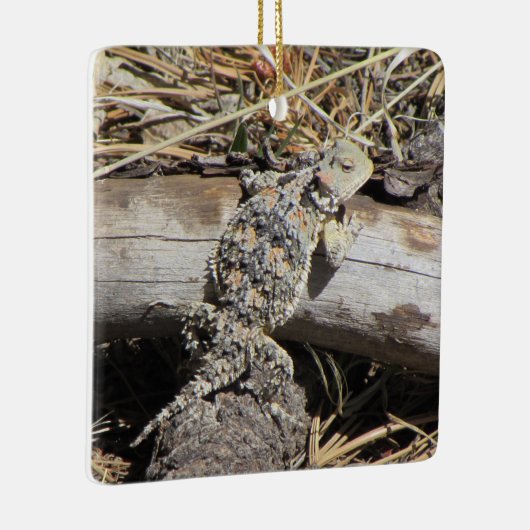 Horned Lizard Keramisch Ornament (Rechts)