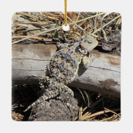Horned Lizard Keramisch Ornament (Achterkant)