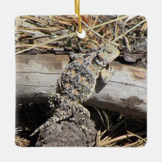 Horned Lizard Keramisch Ornament (Voorkant)