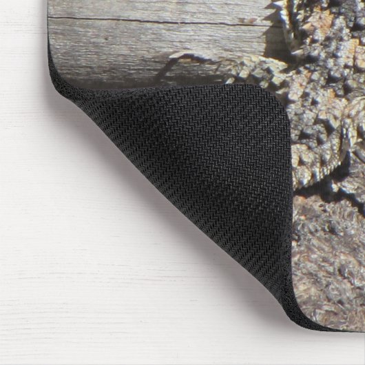 Horned Lizard Muismat (Hoek)