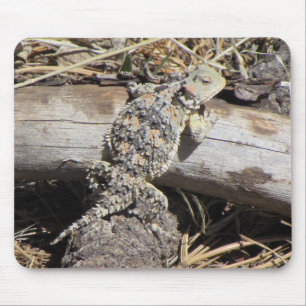 Horned Lizard Muismat