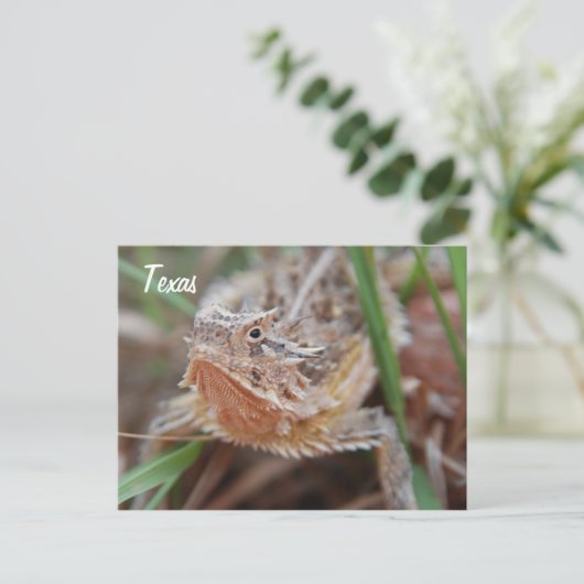 Horned Lizard, Texas Briefkaart (Staand voorkant)