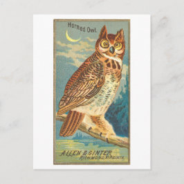 Horned Owl Allen & Ginter Trade Kaart Briefkaart