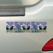 Horned Puffins Bumpersticker (Op auto)