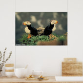 Horned Puffins Poster (Keuken)
