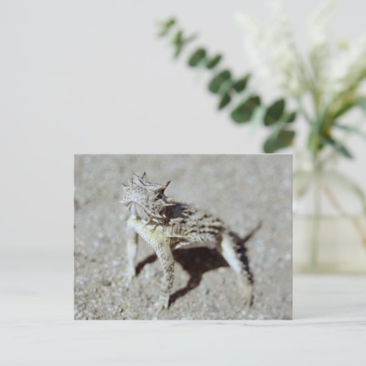 Horned Toad Briefkaart (Staand voorkant)