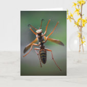 Hornet, kaart (Gele Bloem)