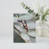 Hornet Photo Briefkaart (Staand voorkant)