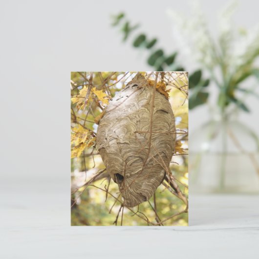 Hornets Nest Briefkaart (Staand voorkant)