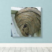 Hornets Nest Canvas Afdruk (Insitu (Houten vloer))