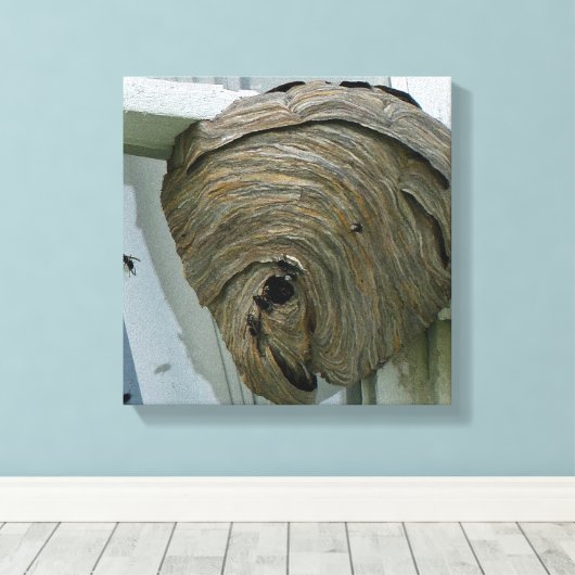 Hornets Nest Canvas Afdruk (Insitu (Houten vloer))