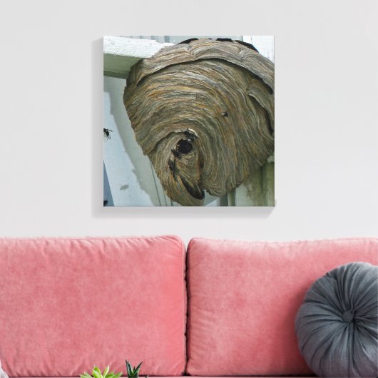 Hornets Nest Canvas Afdruk (Insitu (Woonkamer))