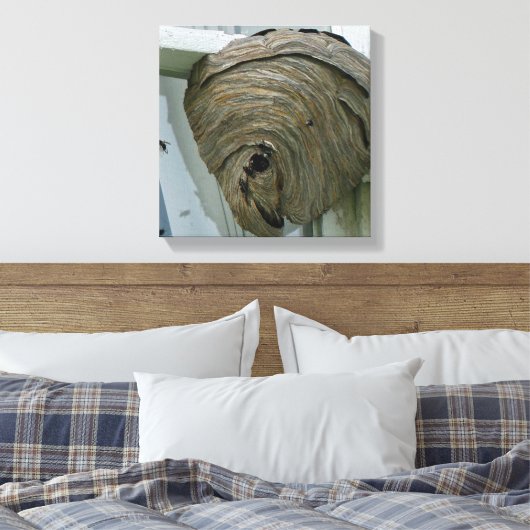 Hornets Nest Canvas Afdruk (Insitu (Slaapkamer))