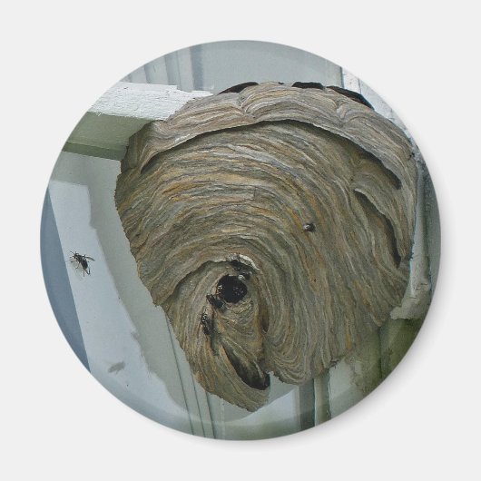Hornets Nest Magneet (Voorkant)