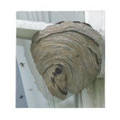Hornets Nest Notitieblok (Voorkant)