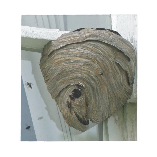 Hornets Nest Notitieblok (Voorkant)
