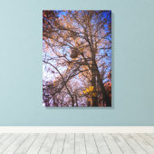 Hornets Nest op canvas Afdruk (Insitu (Houten vloer))