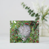 Hornets Nest Photo Briefkaart (Staand voorkant)