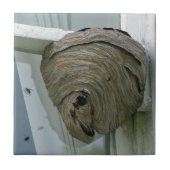 Hornets Nest Tegeltje (Voorkant)