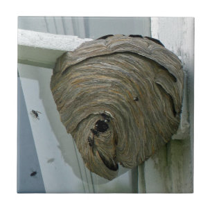 Hornets Nest Tegeltje