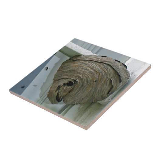 Hornets Nest Tegeltje (Zijkant)