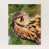 Hornugle Owl- Vogels van Prey. Legpuzzel (Verticaal)
