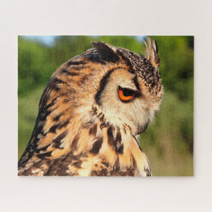 Hornugle Owl- Vogels van Prey. Legpuzzel