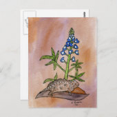 Horny Toad met Bluebonnet Briefkaart (Voorkant / Achterkant)