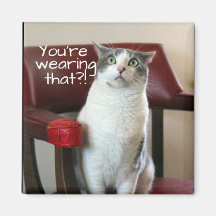 Horrified Cat Magneet